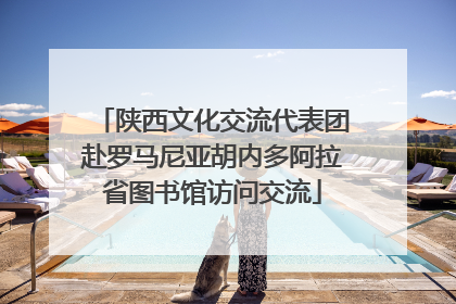 陕西文化交流代表团赴罗马尼亚胡内多阿拉省图书馆访问交流