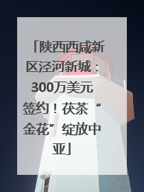 陕西西咸新区泾河新城：300万美元签约！茯茶“金花”绽放中亚