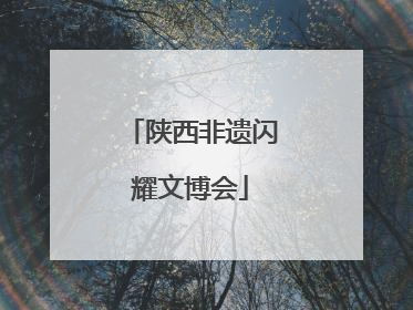 陕西非遗闪耀文博会
