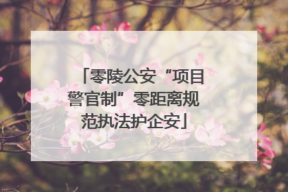零陵公安“项目警官制”零距离规范执法护企安