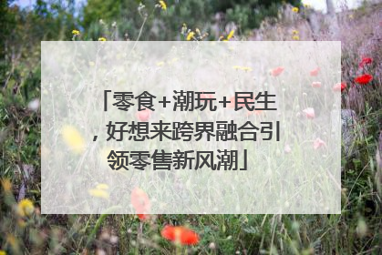 零食+潮玩+民生，好想来跨界融合引领零售新风潮
