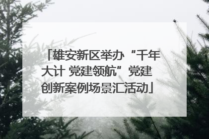雄安新区举办“千年大计 党建领航”党建创新案例场景汇活动