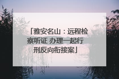 雅安名山：远程检察听证 办理一起行刑反向衔接案