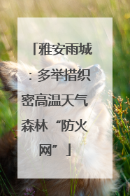 雅安雨城：多举措织密高温天气森林“防火网”