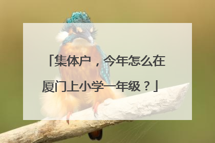 集体户，今年怎么在厦门上小学一年级？