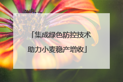 集成绿色防控技术助力小麦稳产增收