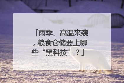 雨季、高温来袭，粮食仓储要上哪些“黑科技”？