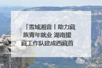 雪域湘音丨助力藏族青年就业 湖南援藏工作队建成西藏首个清洁能源装备园