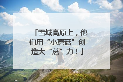 雪域高原上，他们用“小蘑菇”创造大“蘑”力！