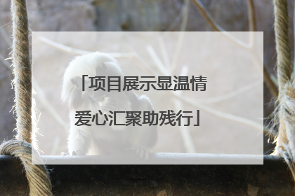 项目展示显温情 爱心汇聚助残行