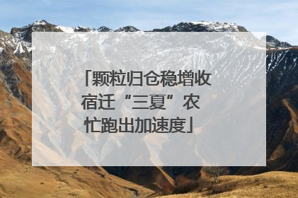 颗粒归仓稳增收 宿迁“三夏”农忙跑出加速度
