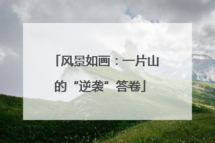 风景如画：一片山的“逆袭”答卷