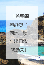 首票闽粤港澳“四地一锁”出口货物通关