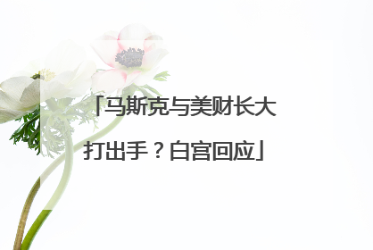 马斯克与美财长大打出手？白宫回应