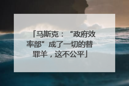 马斯克：“政府效率部”成了一切的替罪羊，这不公平