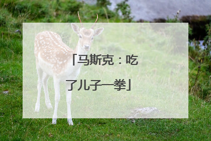 马斯克：吃了儿子一拳