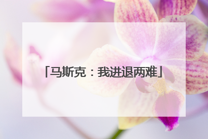 马斯克：我进退两难