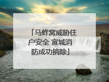 马蜂窝威胁住户安全 宣城消防成功摘除