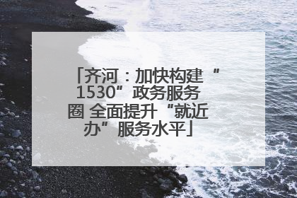 齐河：加快构建“1530”政务服务圈 全面提升“就近办”服务水平