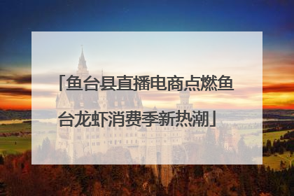鱼台县直播电商点燃鱼台龙虾消费季新热潮