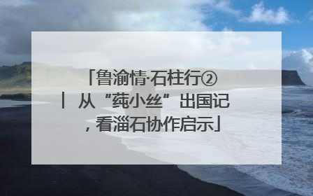 鲁渝情·石柱行② ︳从“莼小丝”出国记，看淄石协作启示