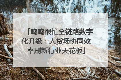 鸣鸣很忙全链路数字化升级：人货场协同效率刷新行业天花板