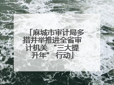 麻城市审计局多措并举推进全省审计机关 “三大提升年” 行动