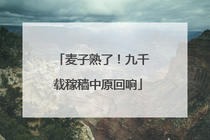 麦子熟了！九千载稼穑中原回响