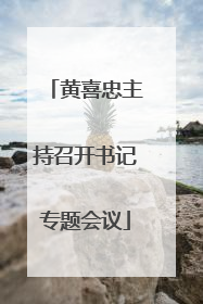黄喜忠主持召开书记专题会议