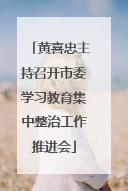 黄喜忠主持召开市委学习教育集中整治工作推进会