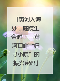 黄河入海处，庭院生金时——黄河口畔“归寻小院”的振兴密码