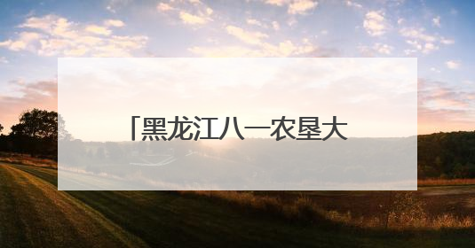 黑龙江八一农垦大学农业工程科研团队助力春耕生产