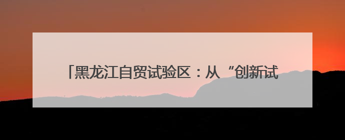 黑龙江自贸试验区：从“创新试验田”向“经济增长极”的质变