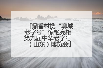 鼎香村携“聊城老字号”惊艳亮相第九届中华老字号（山东）博览会