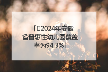 ﻿2024年安徽省普惠性幼儿园覆盖率为94.3%