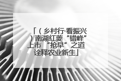 （乡村行·看振兴）南湖红菱“错峰”上市 “抢早”之道诠释农业新生