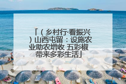 （乡村行·看振兴）山西屯留：设施农业助农增收 五彩椒带来多彩生活