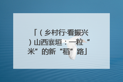 （乡村行·看振兴）山西襄垣：一粒“米”的新“稻”路