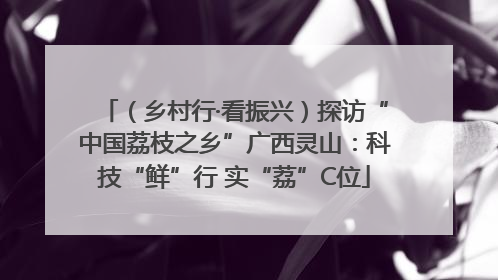（乡村行·看振兴）探访“中国荔枝之乡”广西灵山：科技“鲜”行 实“荔”C位