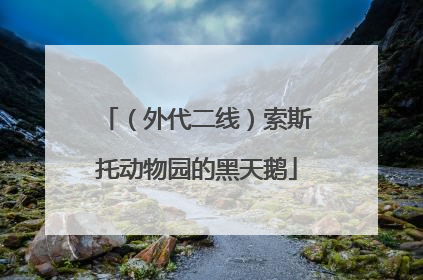 （外代二线）索斯托动物园的黑天鹅