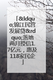 “锦江民营发展贷”落地两月授信1.7亿元，惠及118家民企