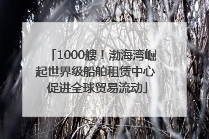 1000艘！渤海湾崛起世界级船舶租赁中心 促进全球贸易流动