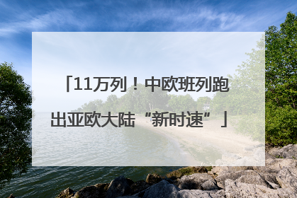 11万列！中欧班列跑出亚欧大陆“新时速”
