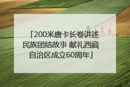 200米唐卡长卷讲述民族团结故事 献礼西藏自治区成立60周年