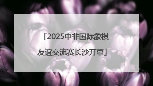 2025中非国际象棋友谊交流赛长沙开幕