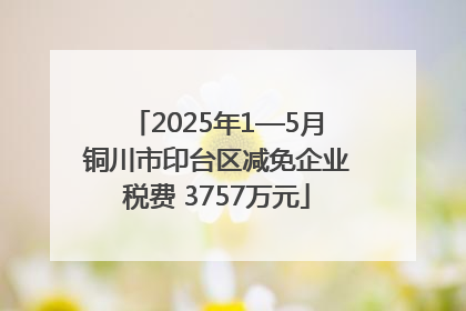 2025年1—5月铜川市印台区减免企业税费 3757万元
