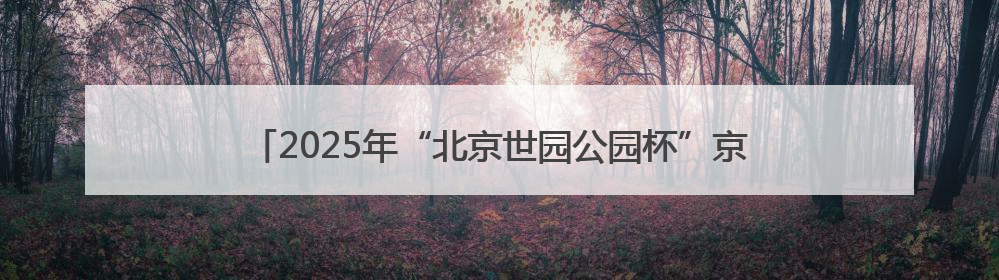 2025年“北京世园公园杯”京张公路自行车公开赛第二站举行