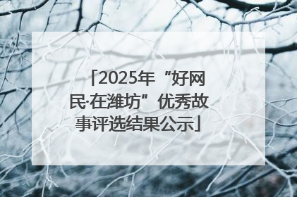 2025年“好网民·在潍坊”优秀故事评选结果公示