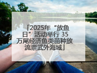2025年“放鱼日”活动举行 35万尾经济鱼类苗种放流崇武外海域