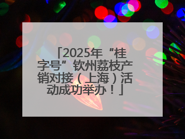 2025年“桂字号”钦州荔枝产销对接（上海）活动成功举办！